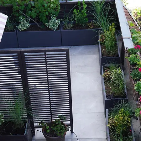 Bon Ton * شتشيتسين