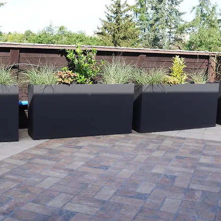 Bon Ton * شتشيتسين