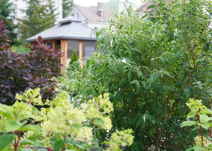 Bon Ton * Щецин