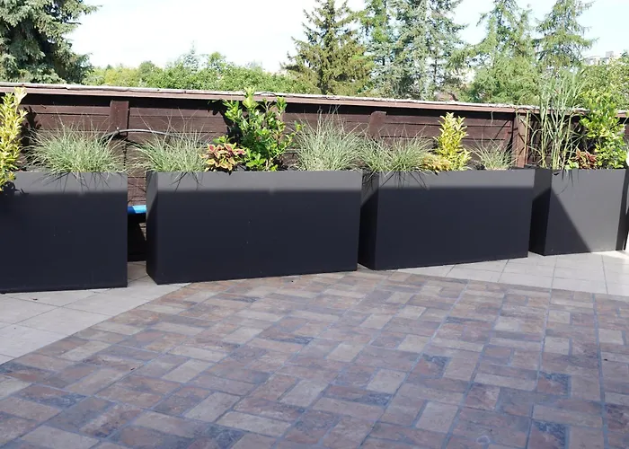 Bon Ton * シュチェチン